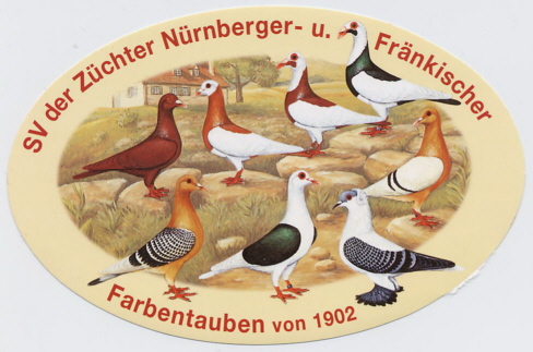 Fränkische Feldtauben